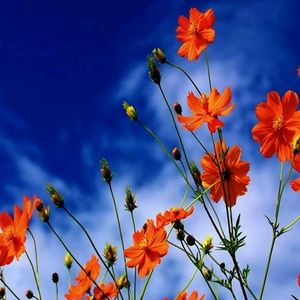 Meet your Posher, Maureen